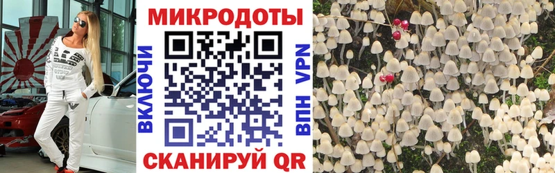 Псилоцибиновые грибы прущие грибы  купить  цена  это наркотические препараты  Чадан 